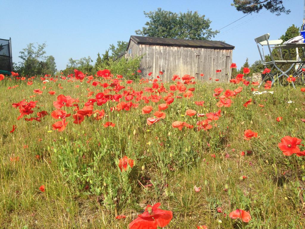 Farogarden Bed & Breakfast Kültér fotó